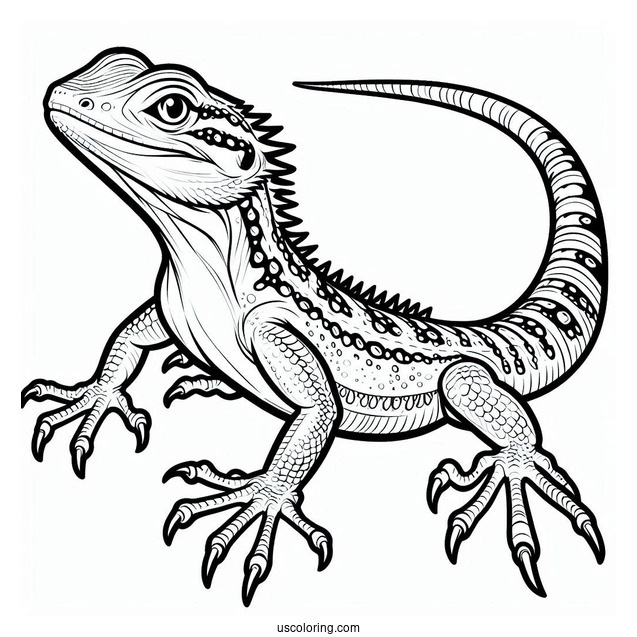 Draco Flyzard Lizard Coloring Page