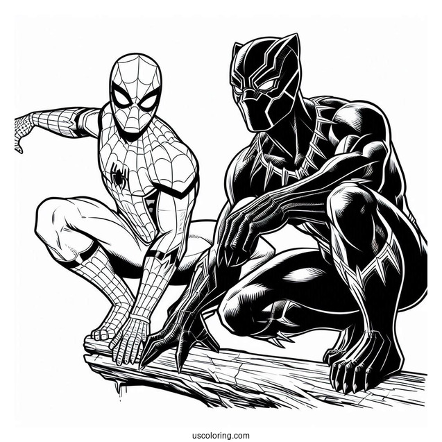 Spider Man And Black Panther
