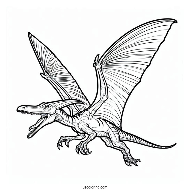 Pterodactyl Coloring Page About To Attack From The Sky