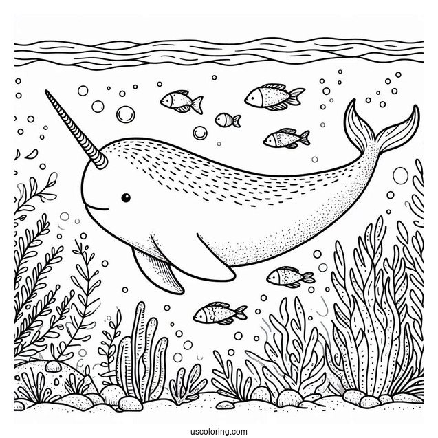 Narwhal Coloring Page Swimming Underwater With Aquatic Life