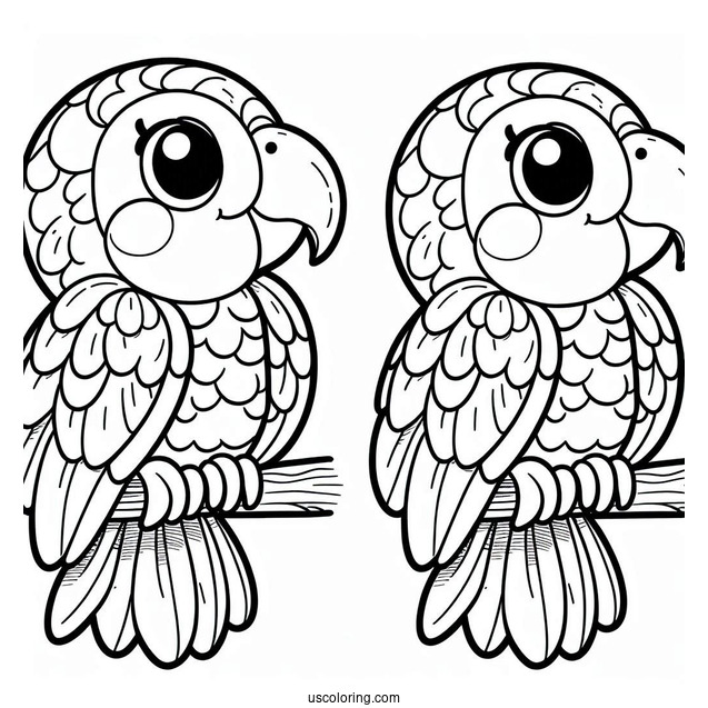 Smiling Parrot To Color