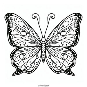 Easy Outline Of Butterfly With Spots On Wings