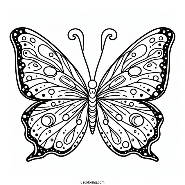 Easy Outline Of Butterfly With Spots On Wings
