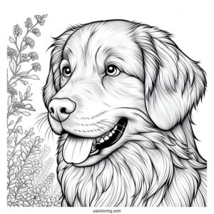 Nova Scotia Duck Tolling Retriever Dog