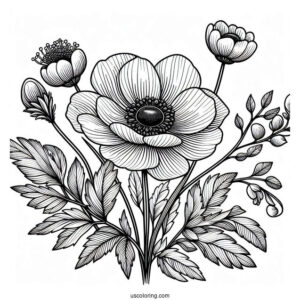 Flower Coloring Pages Of Anemone Mandala