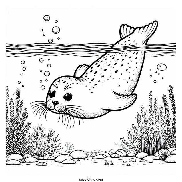 Seal Coloring Page Diving In The Water