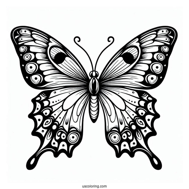 Simple Coloring Sheet Of Swallowtail Butterfly