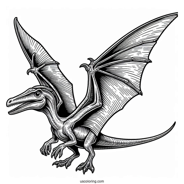 Pterodactyl Coloring Page Fossil