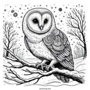 Simple Barn Owl In Snow To Color