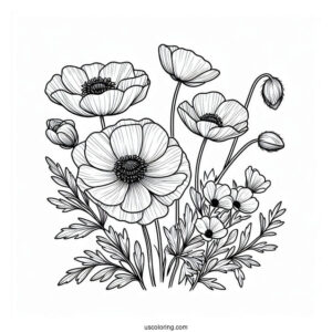 Flower Coloring Pages Of Poppy Anemones