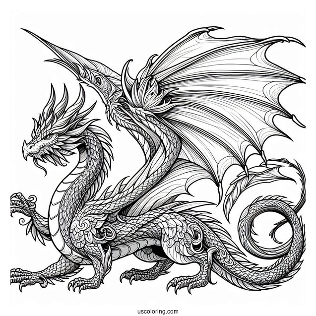 Mythical Dragon With Wings Spread