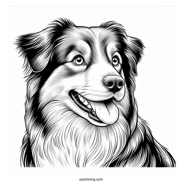 Coloring Page Of Realistic Australian Shepherd