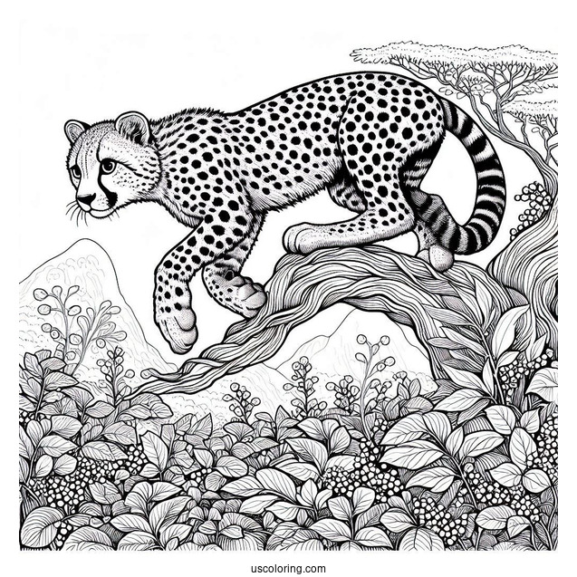 Detailed Cheetah Coloring Page Climbing Tree
