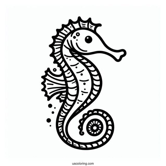 Simple Outline Of a Seahorse For Preschoolers