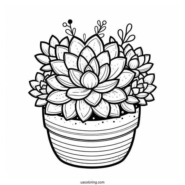 Simple Succulent Coloring Page In A Round Flower Pot For Kids