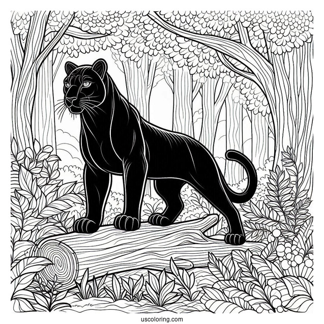 Black Panther In Forest To Color