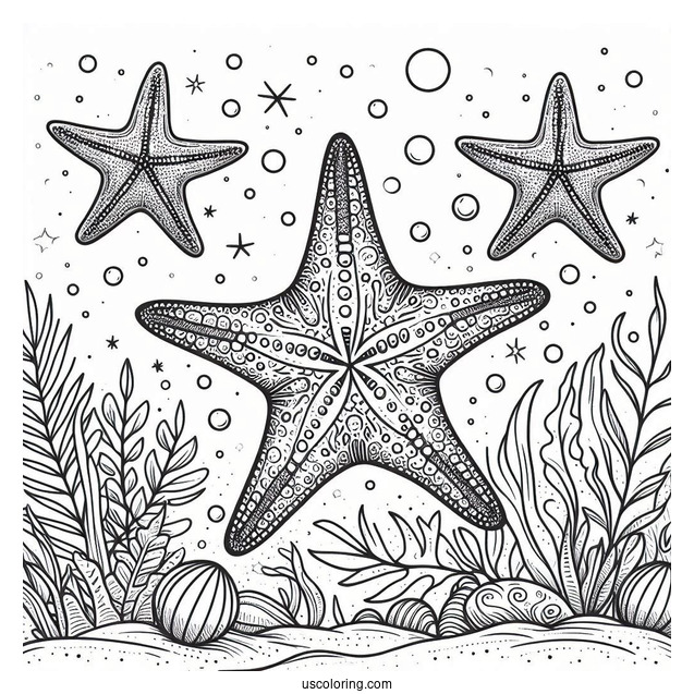 Detailed Starfish Coloring Page Underwater