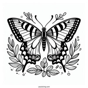 Simple Coloring Sheet Of Swallowtail Butterfly