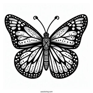 Top View Of Monarch Butterfly For Preschoolers