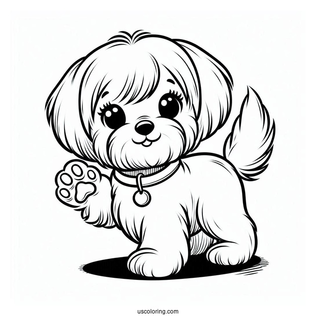Coloring Sheet Of Maltese Dog With Paw Up
