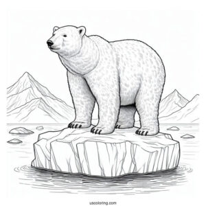 Adult Polar Bear On Piece Of Iceberg