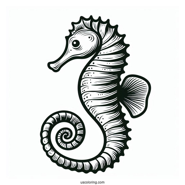 Easy Outline Of a Seahorse With Long Tail