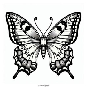 Easy Swallowtail Butterfly For Kids