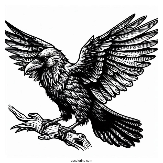 Large Realistic Raven Coloring Page