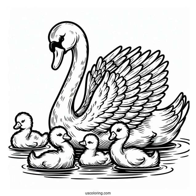 Mama Swan Coloring Page With Baby Cygnets