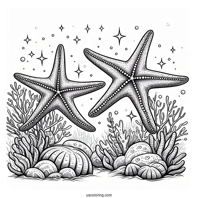 Two Starfish Coloring Page Crawling Along Coral Reef