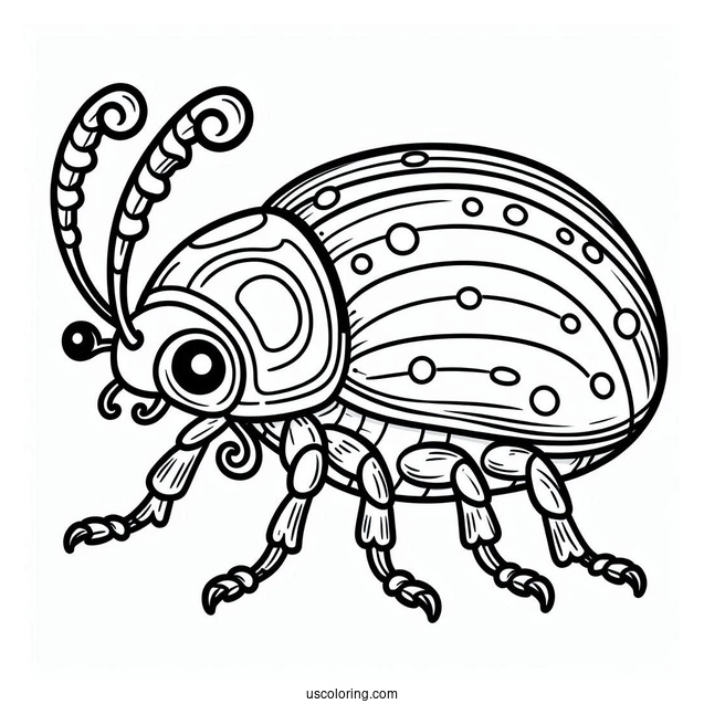 Cartoon Beetle Coloring Page Outline For Preschoolers