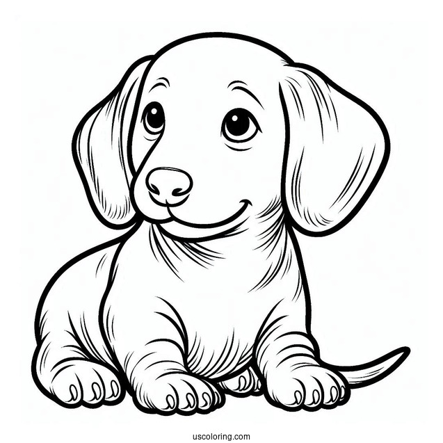 Dachshund Puppy Coloring Page