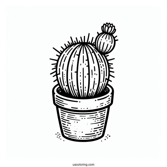 Little Cactus Plant In Pot To Color