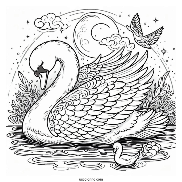 Detailed Swan Coloring Page Sleeping On Pond