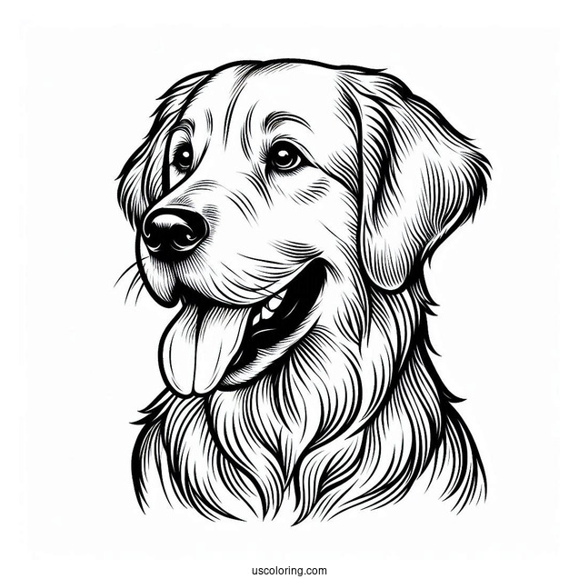 Adult Golden Retriever Coloring Page