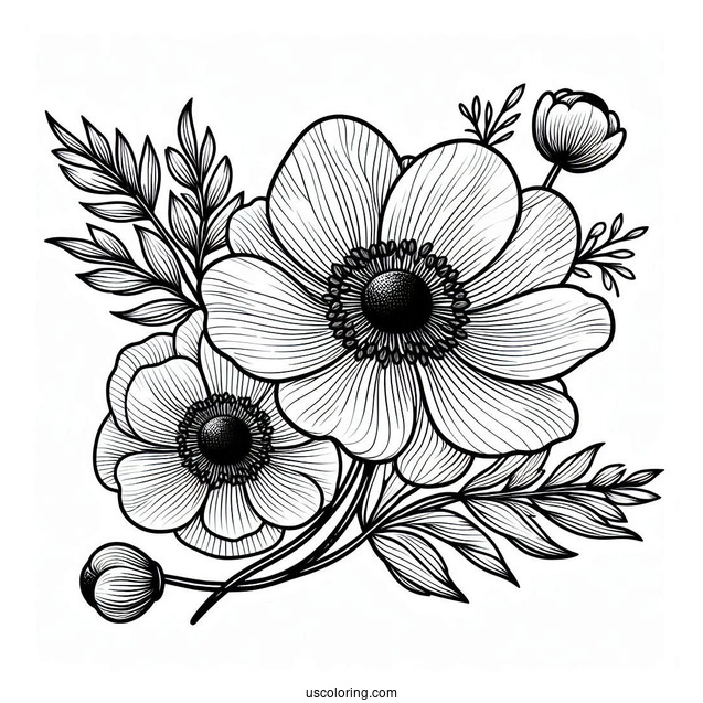 Flower Coloring Pages Of Anemone Mandala