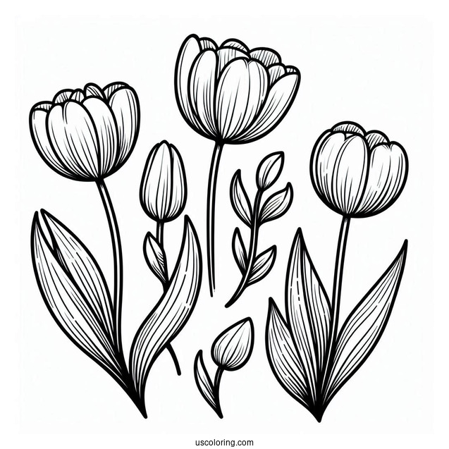Flower Coloring Pages Of Four Blooming Tulips For Kids