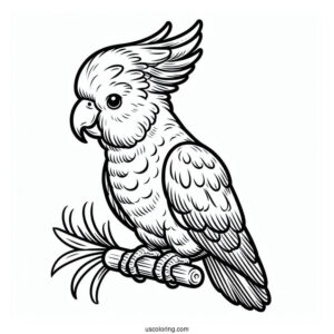 Cockatoo Parrot To Color