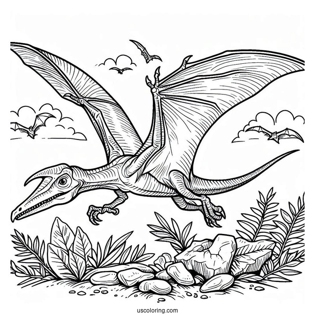 Pterodactyl Coloring Page Fossil