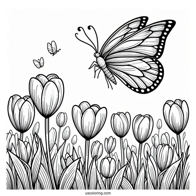 Butterfly Flying Over Field Of Tulips