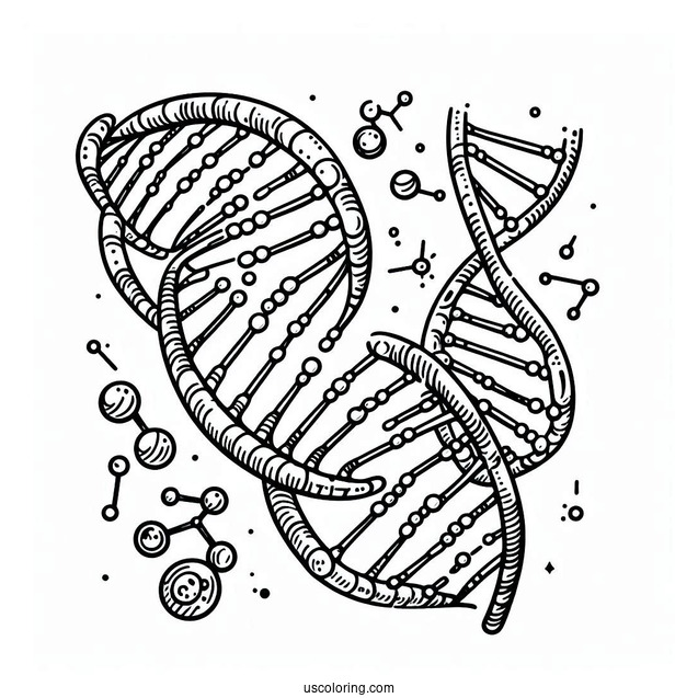 Science Coloring Page Of DNA Strands