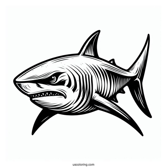 Great Shark Coloring Page Outline For Kids