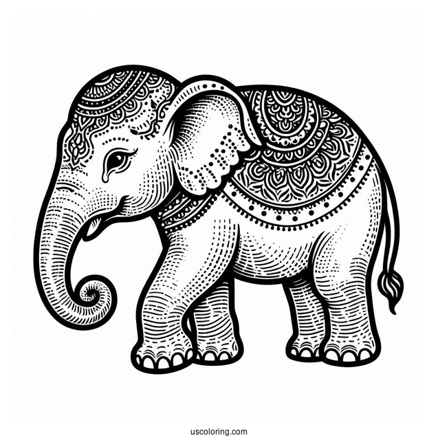 Side On View Of Asian Elephant To Color