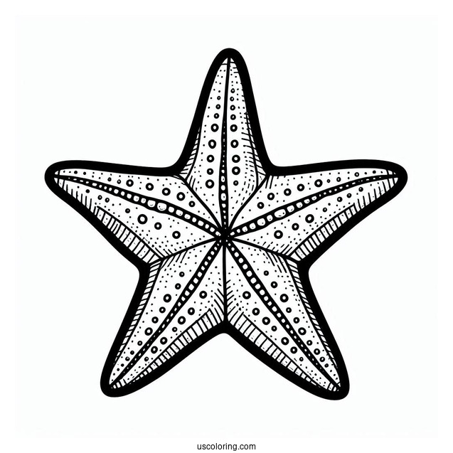 Easy Outline Of Starfish Coloring Page