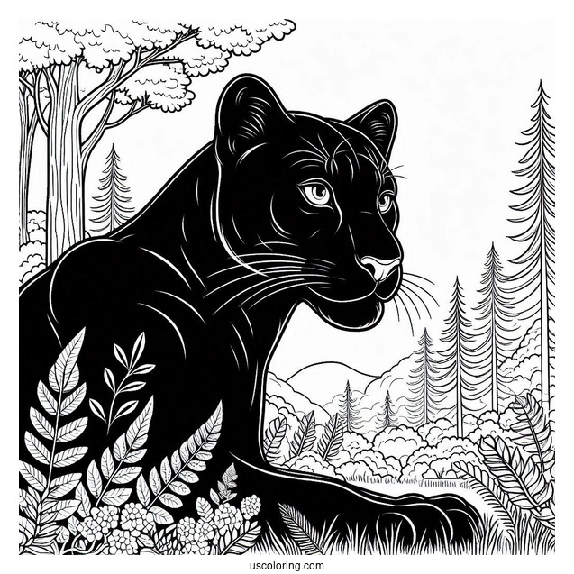 Black Panther In Forest To Color