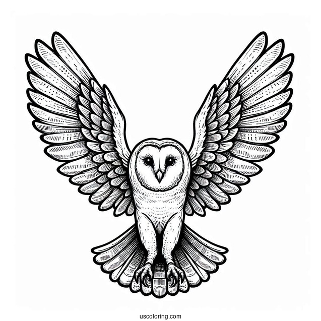 Barn Owl Flying With Large Wings