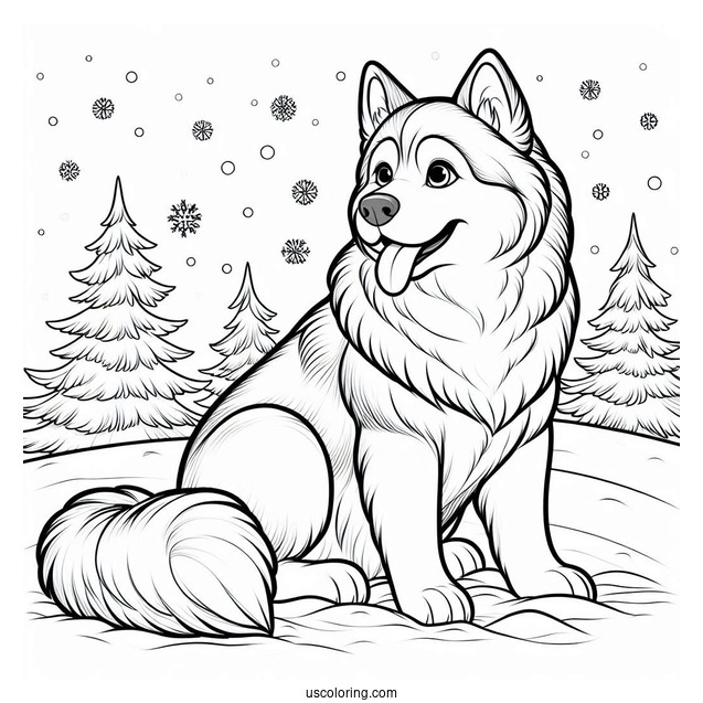 Husky In The Snow Coloring In
