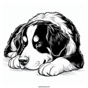 Coloring Sheet Of Bernese Mountain Dog Resting