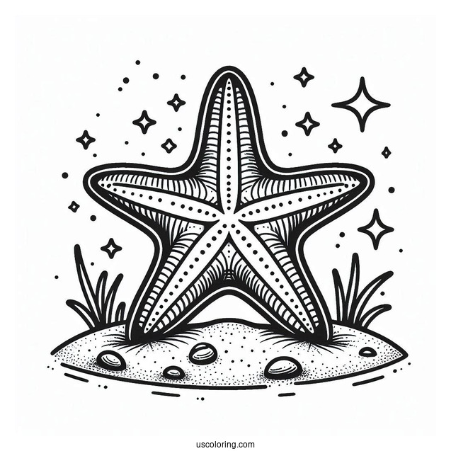 Easy Starfish Coloring Page On The Sand for Kids