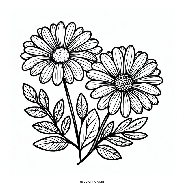 Flower Coloring Pages Of Pretty Daisies